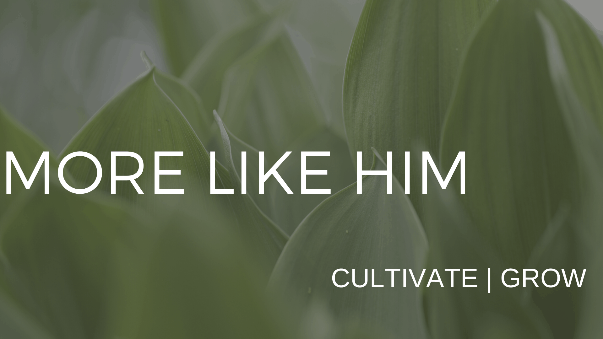 More Like Him Faithfulness Pillar Church of Oceanside