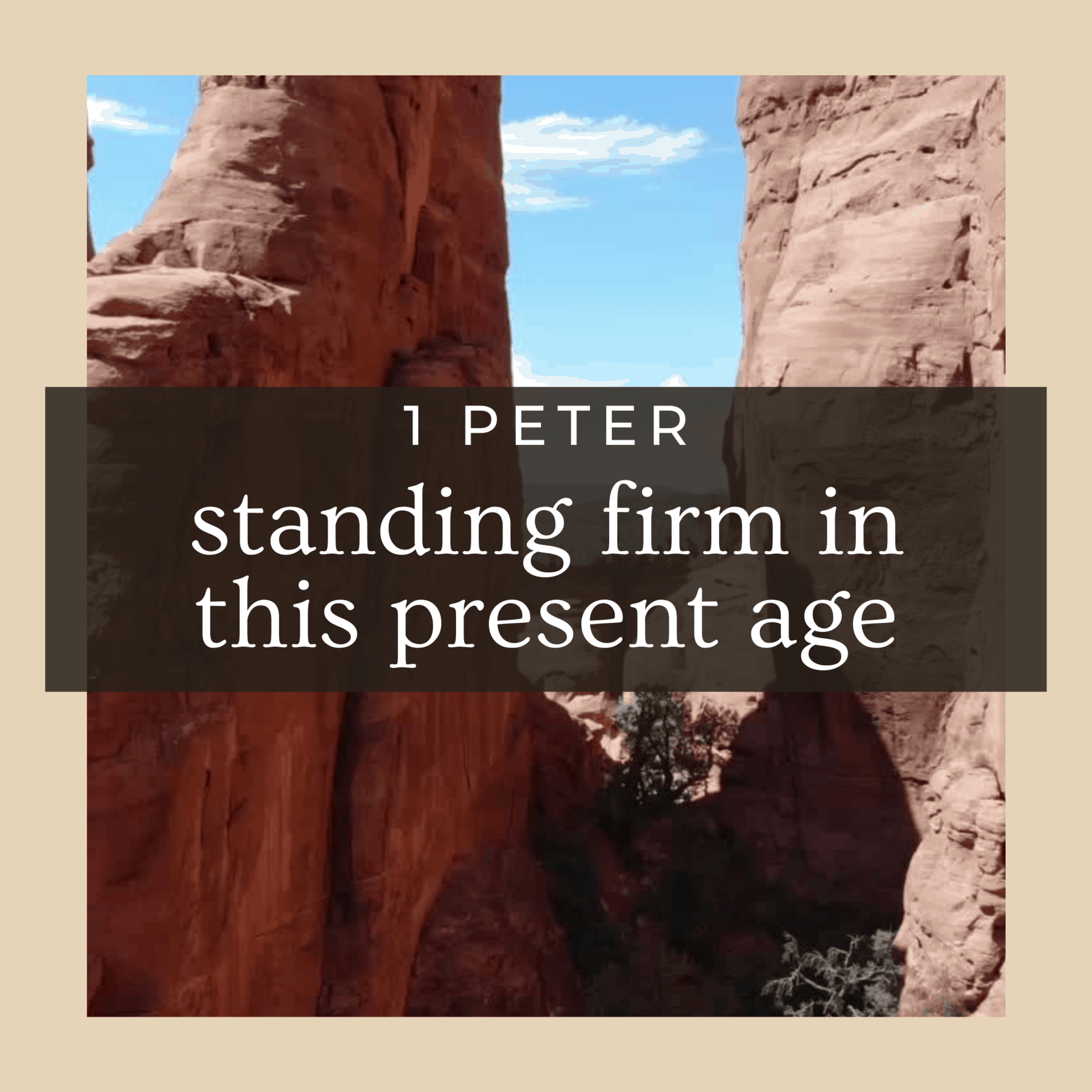 Know your Role Pillar Church of Oceanside